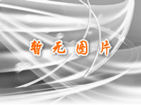 鋁合金導(dǎo)線：全球需求猛增